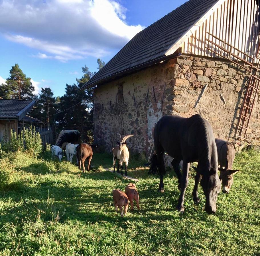 Wiesenhof Collalbo Eksteriør bilde